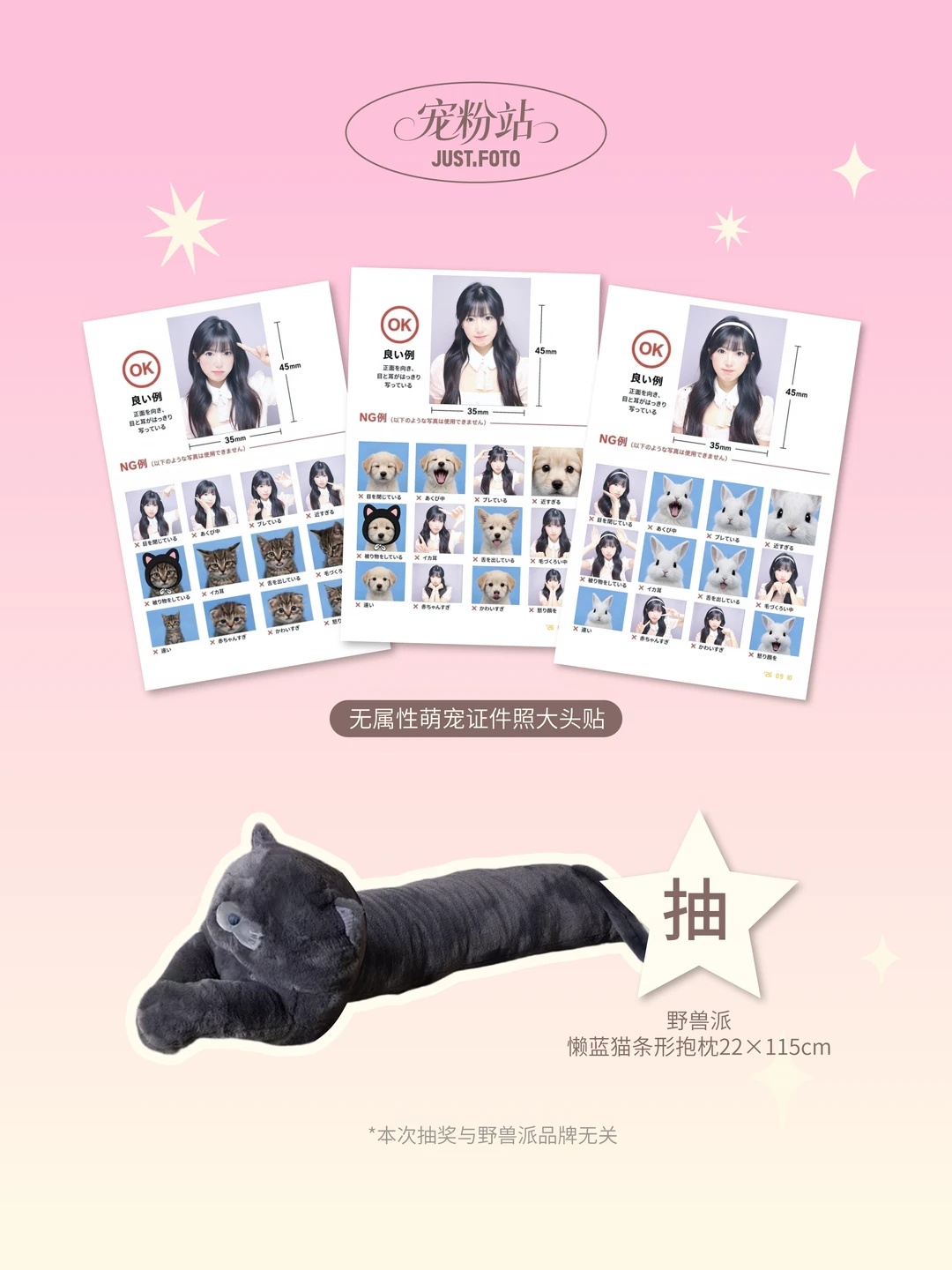 1位:懒蓝猫条形抱枕1+无属性萌宠证件照大头贴拍摄券3