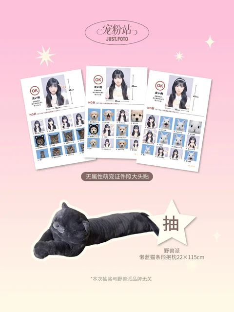 1位：懒蓝猫条形抱枕1+无属性萌宠证件照大头贴拍摄券3